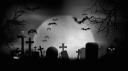 🕸️    ／𝕫henjoo  〃   젠주 Discord Server Banner