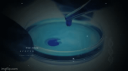 LEARN NEURAL Discord Server Banner