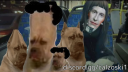⚽ 𝐅𝐚𝐧𝐬𝐨𝐬𝐤𝐢𝐬 Discord Server Banner