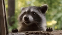 Bl4ck's Market Discord Server Banner