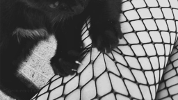 ﹒ ♱ ◟ ⌞xoxo⌝ ﹒ .ᐟ Discord Server Banner