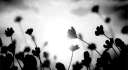 505 🖤 Discord Server Banner