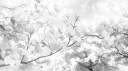 505 Discord Server Banner
