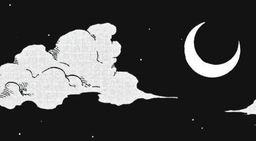 northing's (kitty) Discord Server Banner