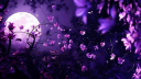 ⋆˙⟡ Discord Server Banner