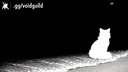 Void Discord Server Banner