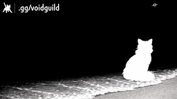 Void Discord Server Banner
