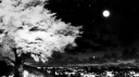 see you Discord Server Banner