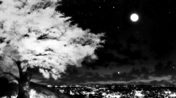 see you Discord Server Banner