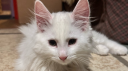 silly tag Discord Server Banner