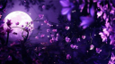 LunarLume Discord Server Banner