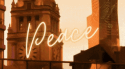 Peace X Vibes Discord Server Banner