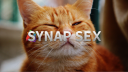 Synapse Cat Fan Club Discord Server Banner