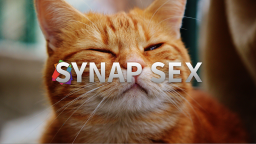 Synapse Cat Fan Club Discord Server Banner