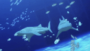 ⌒⌒　aquatic yume cafe　🪼 Discord Server Banner