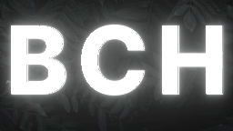 Beginner Casting Hub Discord Server Banner