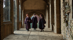 Harry Potter on HBO Discord Server Banner