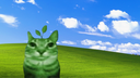 plant's stuff Discord Server Banner