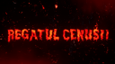 Regatul Cenusii Discord Server Banner