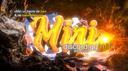 Miri [ Close ] Discord Server Banner