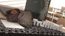 Truffled Discord Server Banner