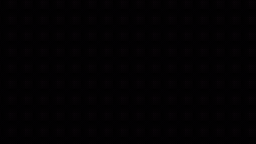 Trustify Discord Server Banner