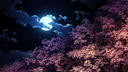 ⟢ ︰𝗬𝗮𝗽𝗼𝗰𝗮𝗹𝘆𝗽𝘀𝗲 ✦ Discord Server Banner