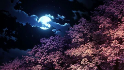 โข ๏ธฐ๐ฌ๐ฎ๐ฝ๐ผ๐ฐ๐ฎ๐น๐๐ฝ๐๐ฒ โฆ Discord Server Banner