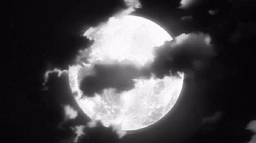 watari Discord Server Banner