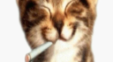 Undercover Online Discord Server Banner