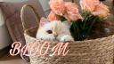 Bloom Discord Server Banner