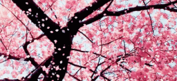 Cozy Corner Discord Server Banner