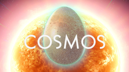 Riders of the Endless Skies Discord Server Banner