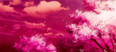 /Lightx Discord Server Banner