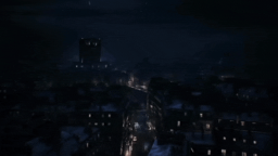 Raccoon City Discord Server Banner