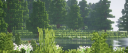 xFave's Hive Community Discord Server Banner