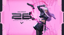 VALORANT Romania Discord Server Banner
