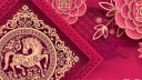 8NetLive Projects Discord Server Banner
