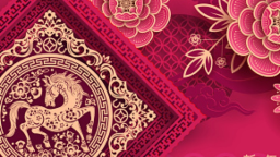8NetLive Projects Discord Server Banner