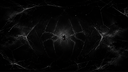 🕷 Spider Hub 🕸 Discord Server Banner