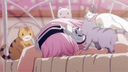 ๐ฃฒ โณโนโฏ๐ เฃช ๐ โด๐
ห๐พ๐ถ ๐ค .แ / Discord Server Banner