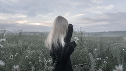 velvet īšâ¸â¸ Discord Server Banner