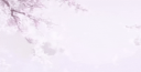 /angel ୨୧ #200 Discord Server Banner