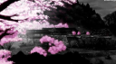 ! बदमोश गैंग ™ Discord Server Banner