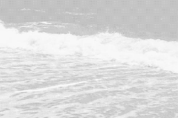everlast Discord Server Banner