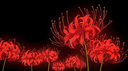 Demon's Hangout Discord Server Banner