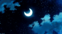 ☾⋆⁺₊ Moonlight Reverie ₊⁺⋆☽ social Discord Server Banner