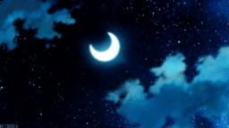 ☾⋆⁺₊ Moonlight Reverie ₊⁺⋆☽ social Discord Server Banner