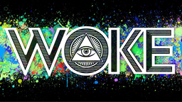 WOKE Discord Server Banner