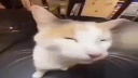Strata Czasu Discord Server Banner